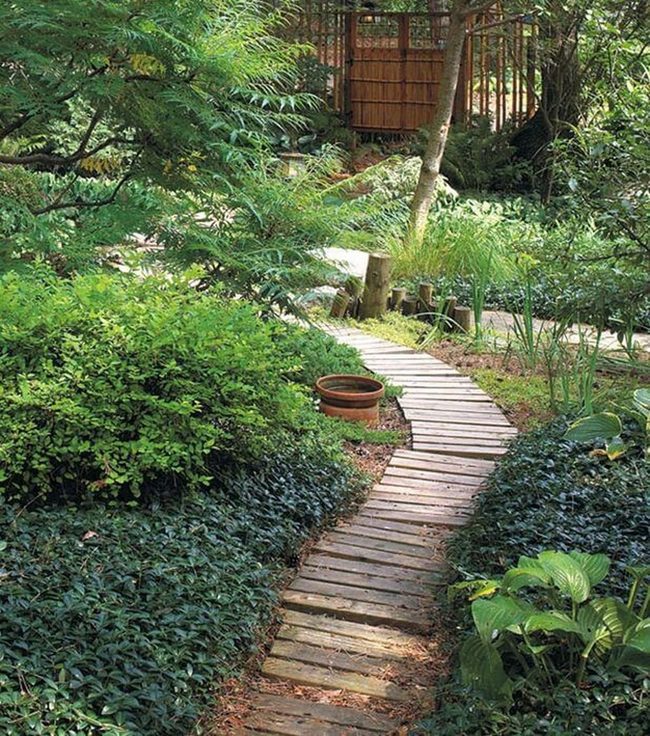 Curved Wood Path Through Green