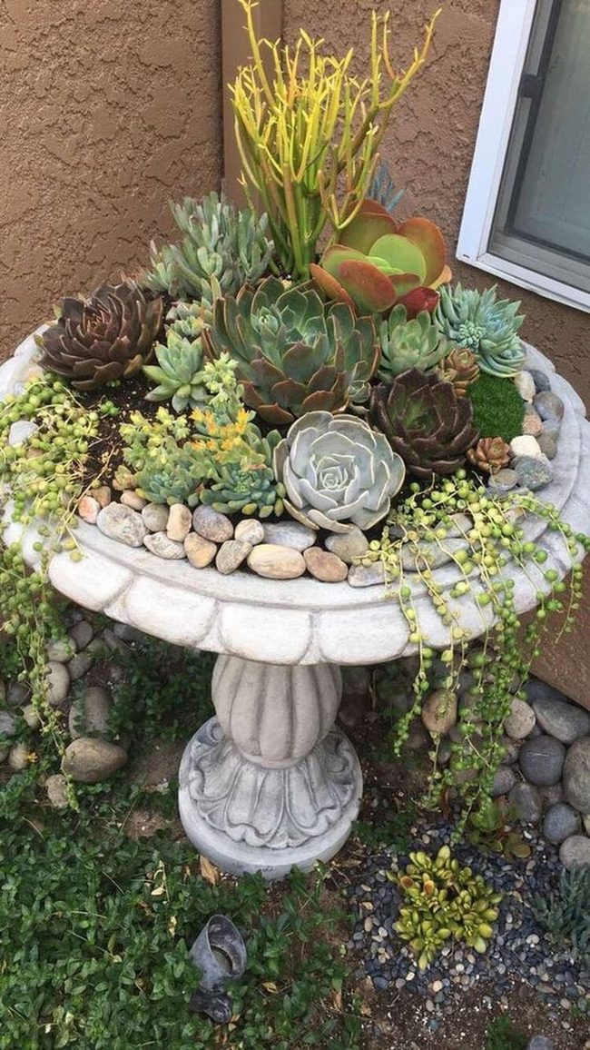 Stone Planter Bursting With Colorful Succulents