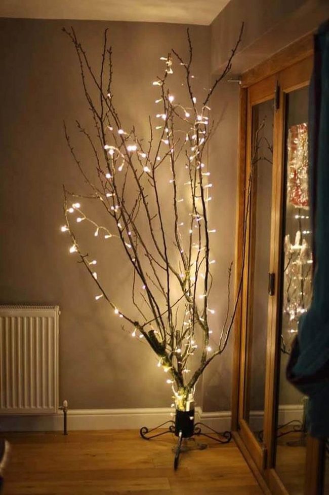 Illuminated Branches Cast Shadows