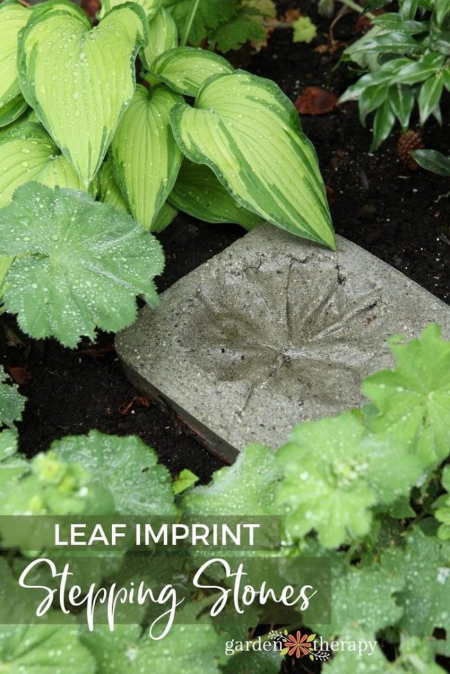 Wet Leaves On Stone Garden