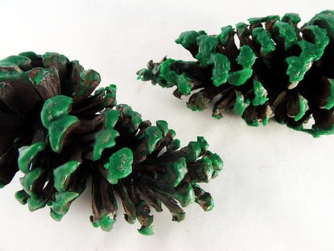 Green Tipped Pine Cones