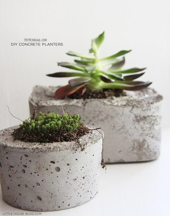 Gray Concrete Rough Texture Planters