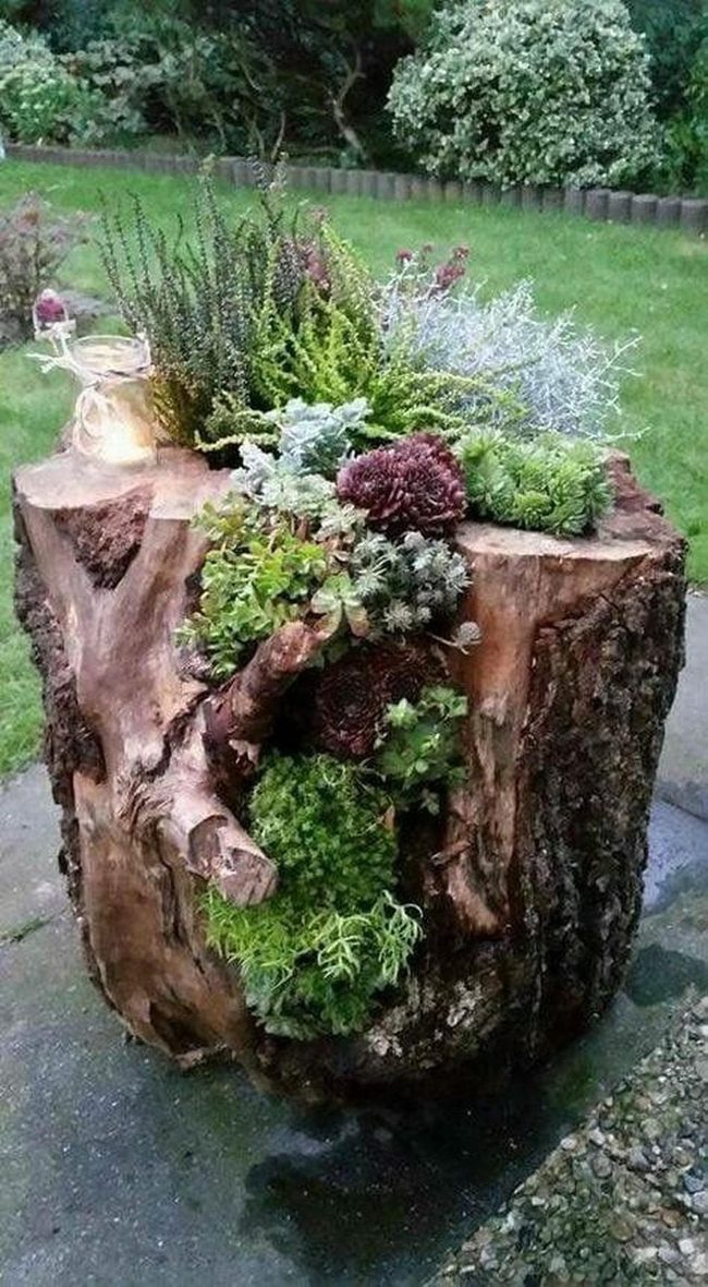 Succulent-Filled Tree Stump