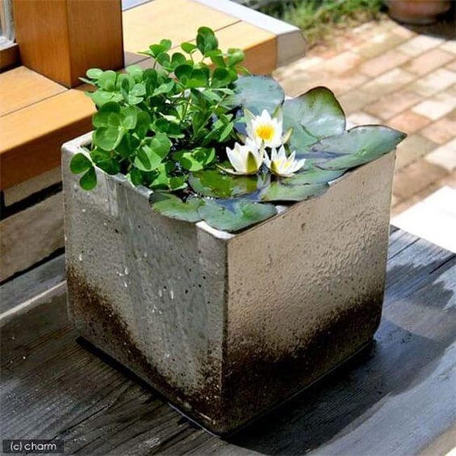 Living Water Desk Garden