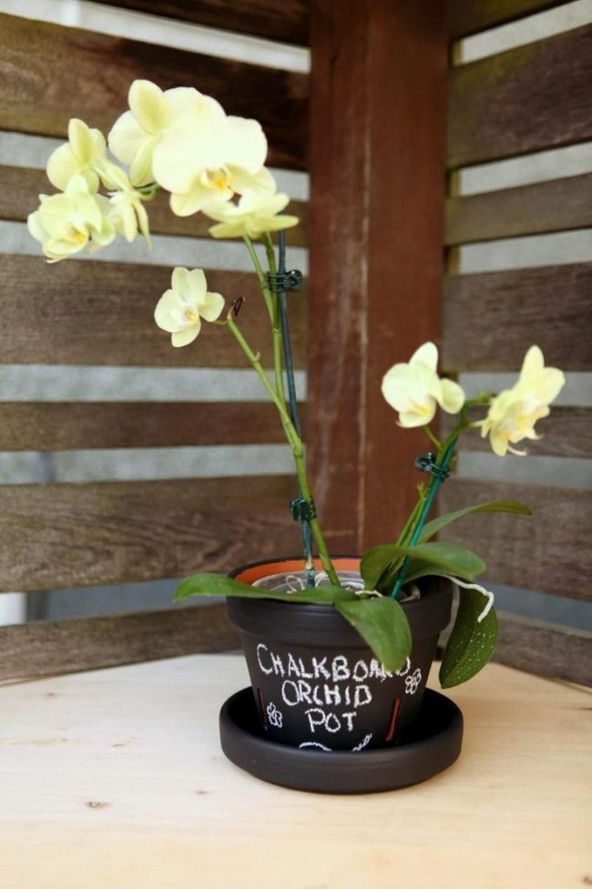 Yellow Orchids Black Pottery Chalk