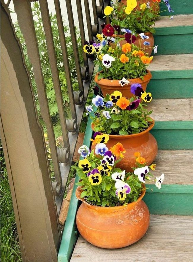 Black Metal Rails And Golden Pansies