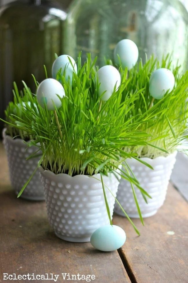 Fresh Grass Easter Egg Pots