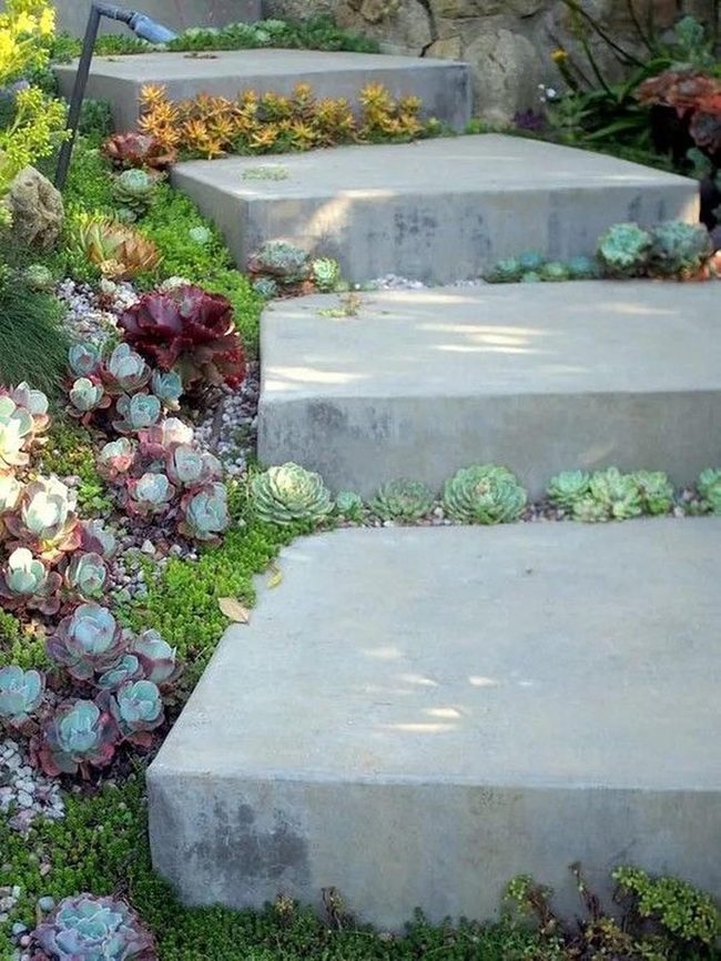 Concrete Steps With Purple Succulents