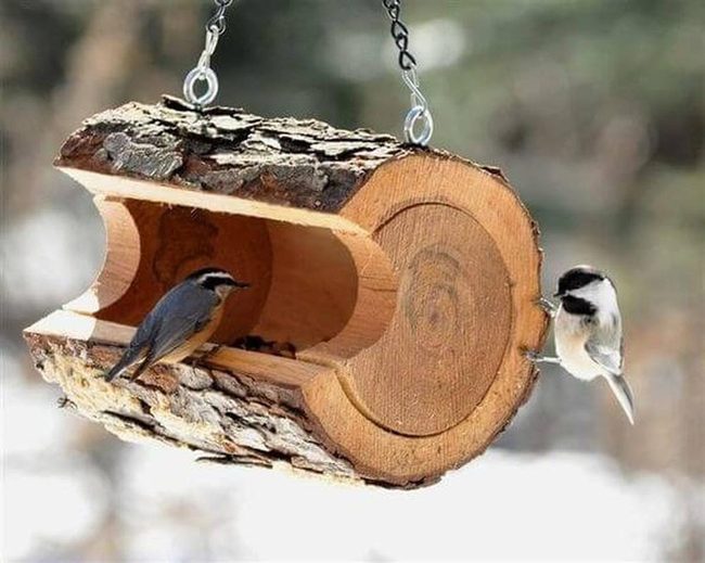 Wooden Log Bird Feeder