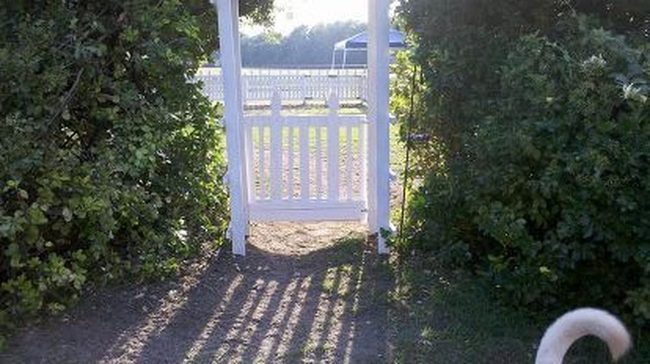 Weathered Pallet Gate White
