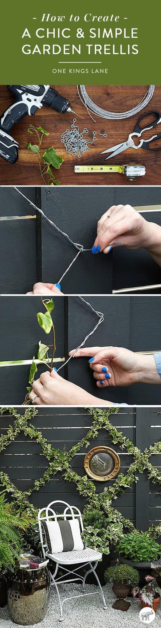 Wire Trellis With Climbing Vines