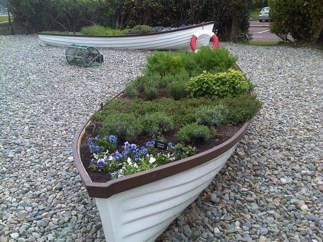 Weathered Boats Overflowing Green