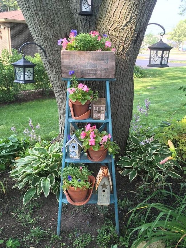Blue Ladder Garden Display