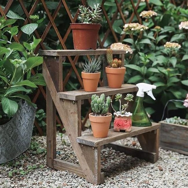 Terracotta Pots On Weathered Wood