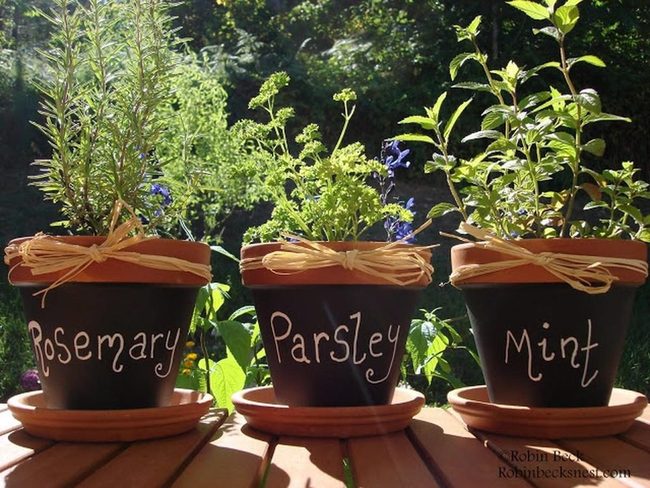 Dark Ceramic Herb Pots With Chalkboard Labels