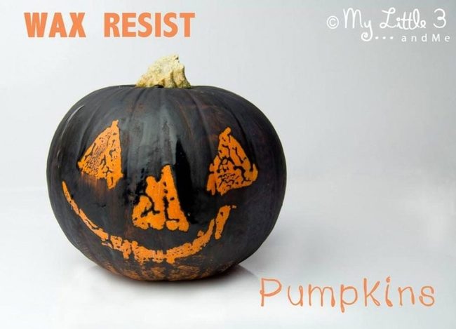 Orange Pumpkin Black Contrast