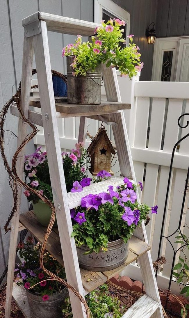 White Ladder With Purple Flowers