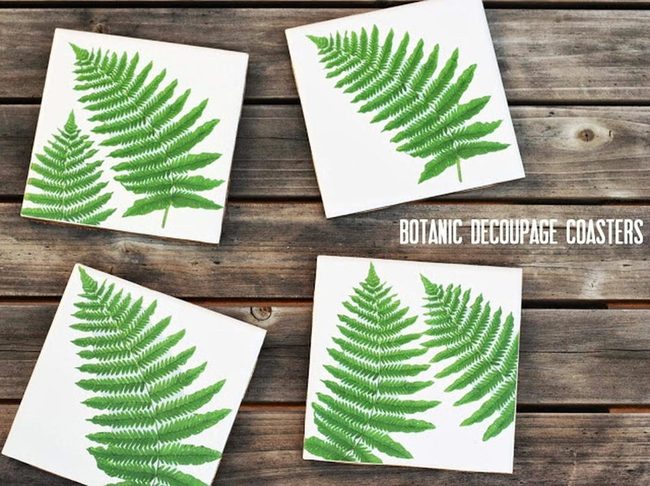 Crisp White Fern Coasters