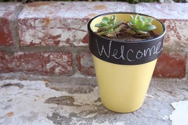 Yellow Succulents Against Red Brick