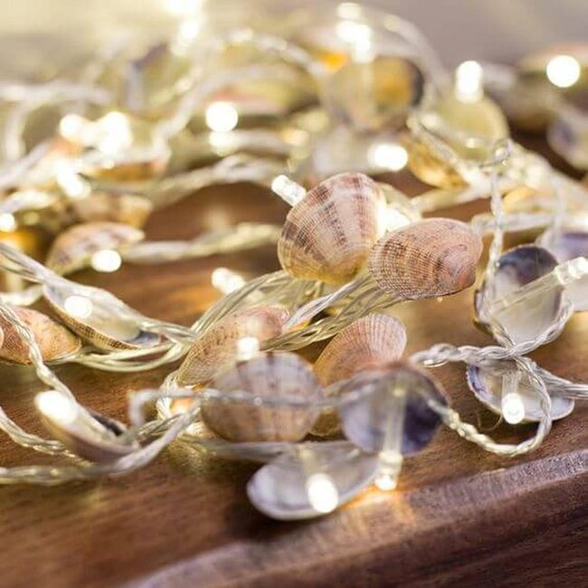 Sunlit Seashells Bring Coastal Calm