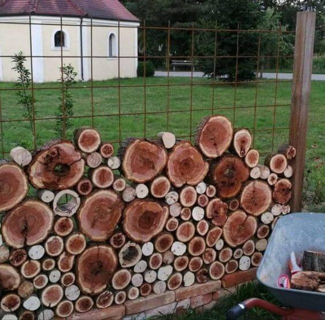 Weathered Log Fences With Climbing Vines