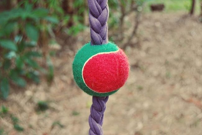 Purple Rope Ball Bright Colors