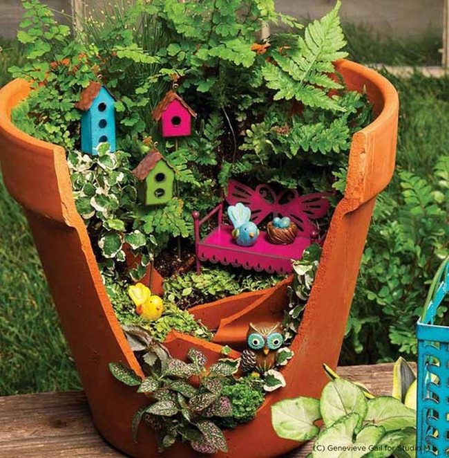 Miniature Green World In A Pot