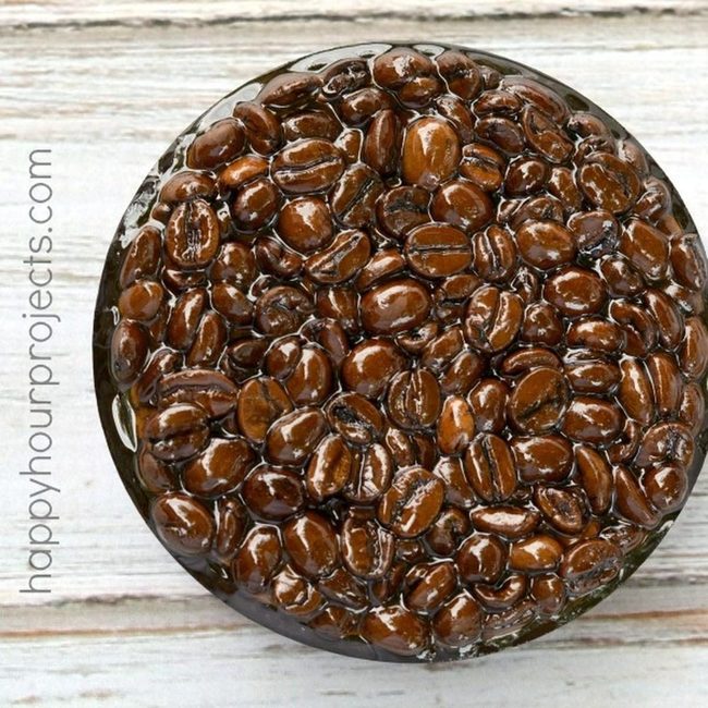Polished Dark Brown Beans Gleaming
