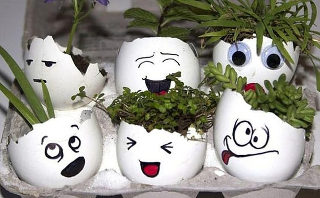 Silly Faces With Living Plants