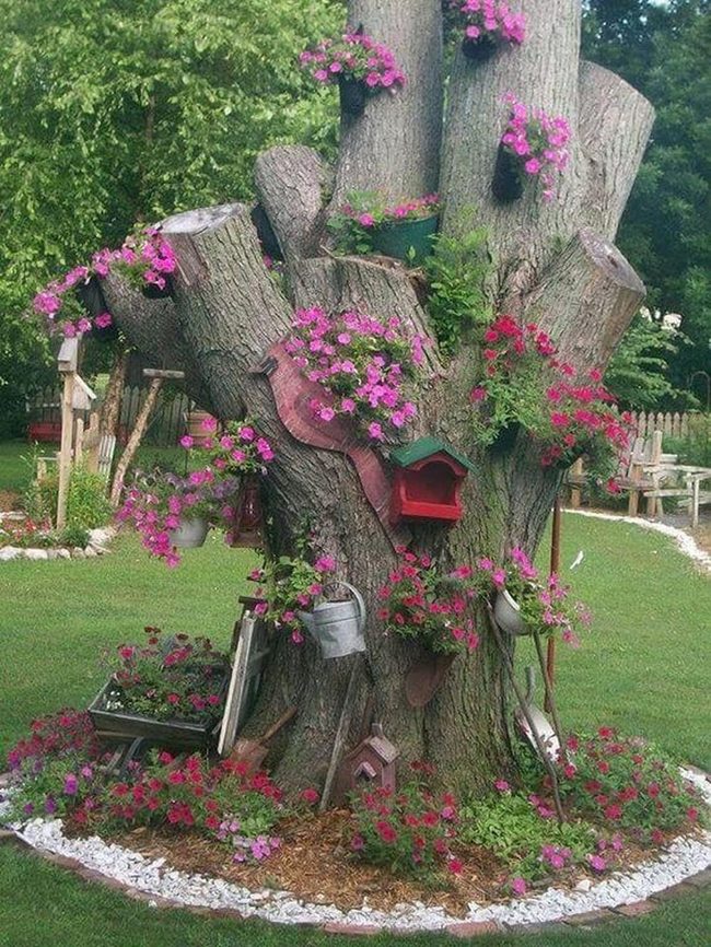 Flowers And Birdhouses On Stumps