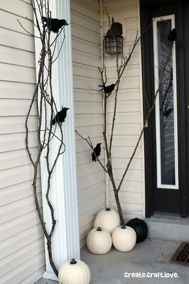 Twisted Branches With Perched Ravens
