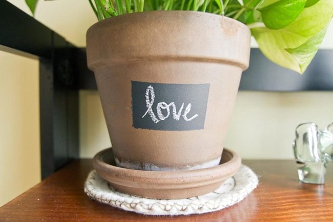 Green Plants Clay Pots White Labels