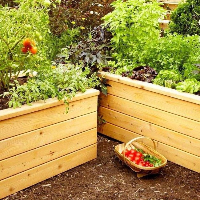Low-Maintenance Homegrown Vegetables Recycled Wood