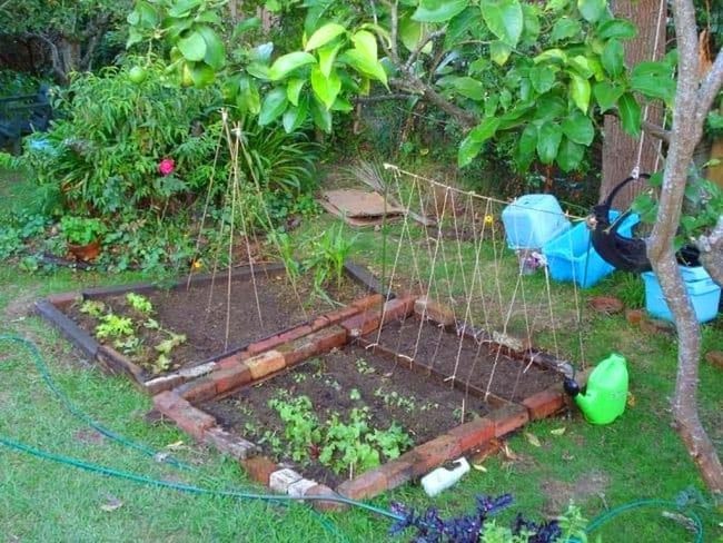 Twine Teepees For Climbing Vegetables