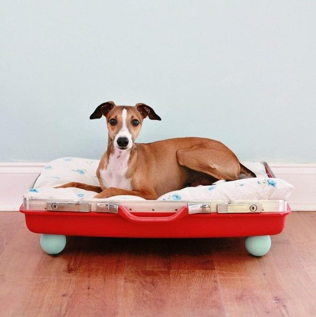 Red Suitcase Pet Beds
