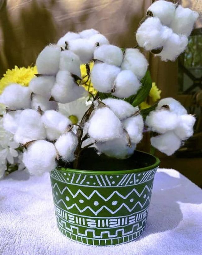Mud Cloth Painted Plant Pots