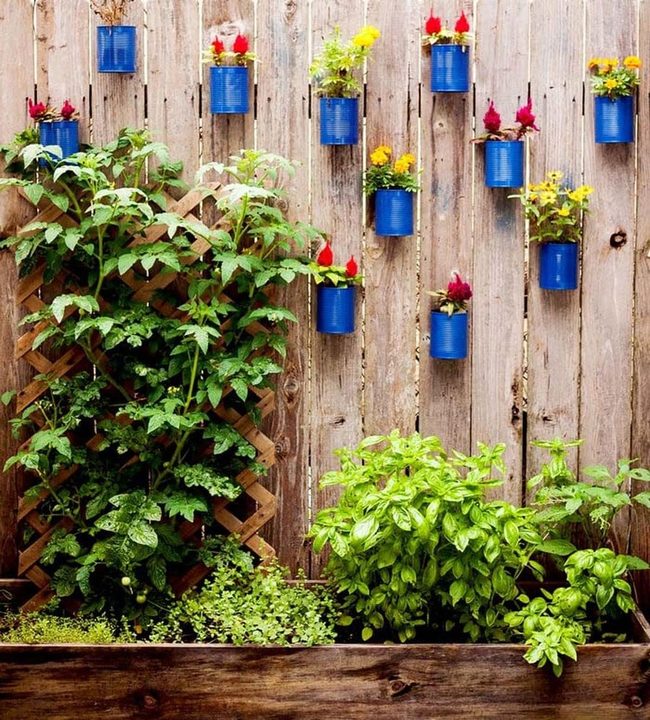Stacked Tin Cans Blooming Upward