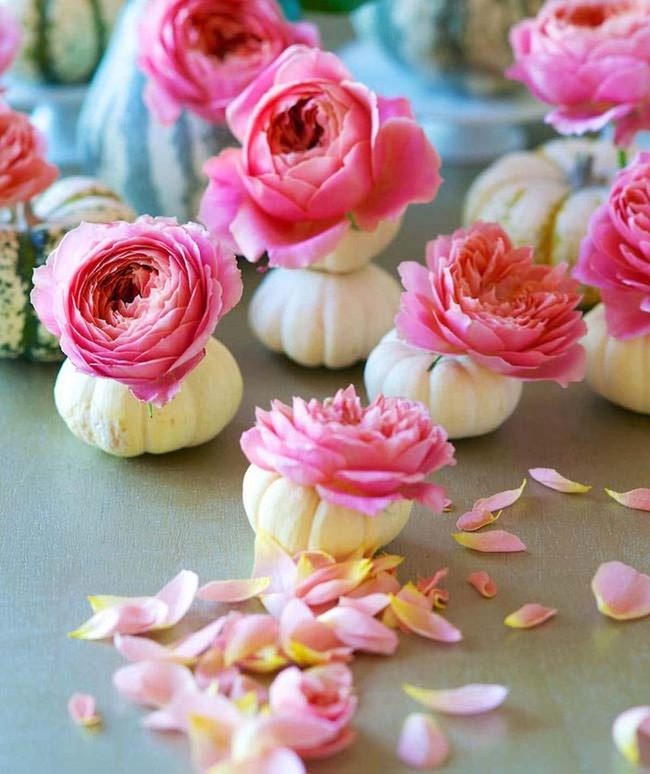 Hollowed Pumpkins With Fresh Flowers