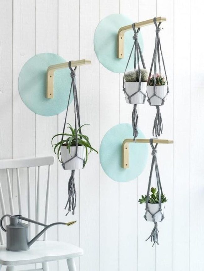 White Walls, Hanging Greens, Blue Circles