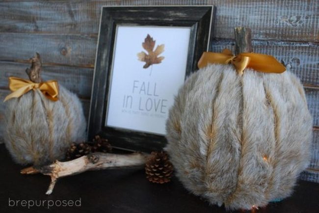 Golden Velvet Pumpkins Fall Display