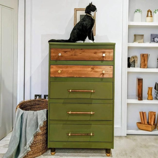 Green Dresser With Resting Cat