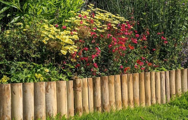 Curved Wood Garden Frame