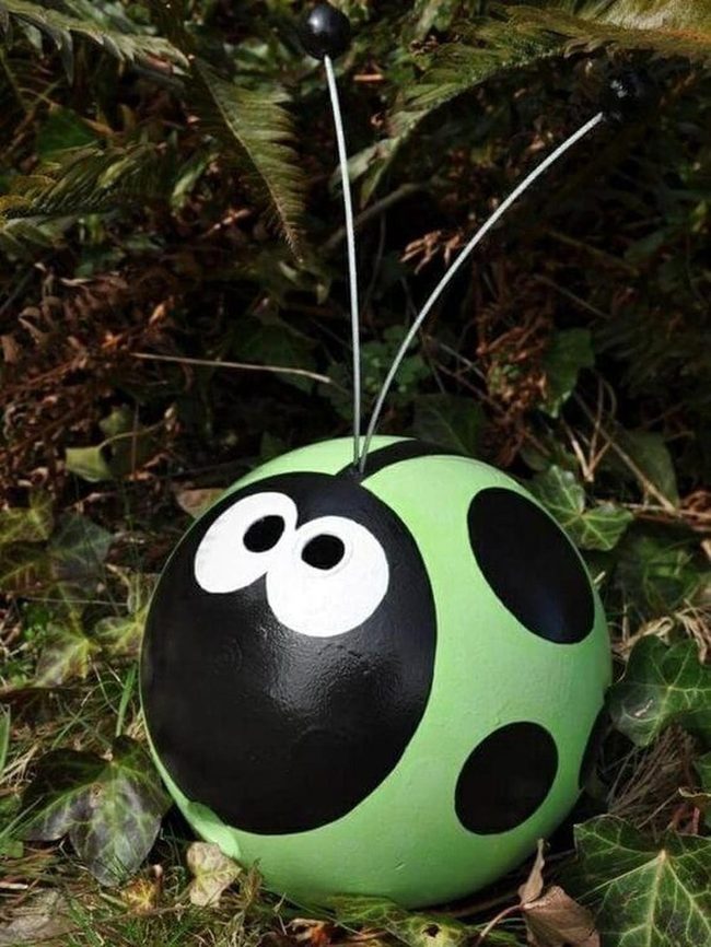 Spotted Red Rock Ladybug