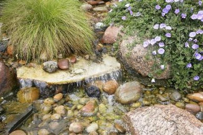 Purple Wildflowers Along Flowing Water