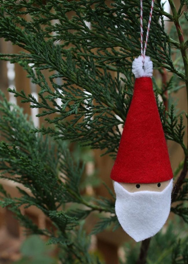 Red Santa Beards On Green Branches