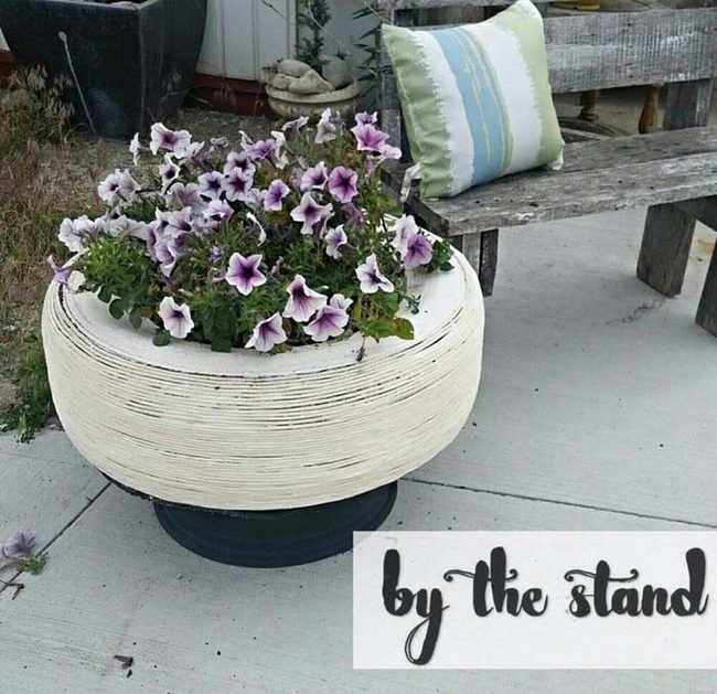White Painted Tires With Violet Blooms
