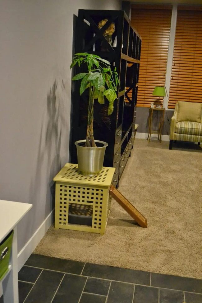 Brown Blinds Dark Tiles Green Accent