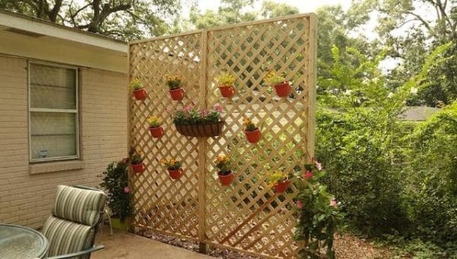 Wooden Lattice Climbing Plants