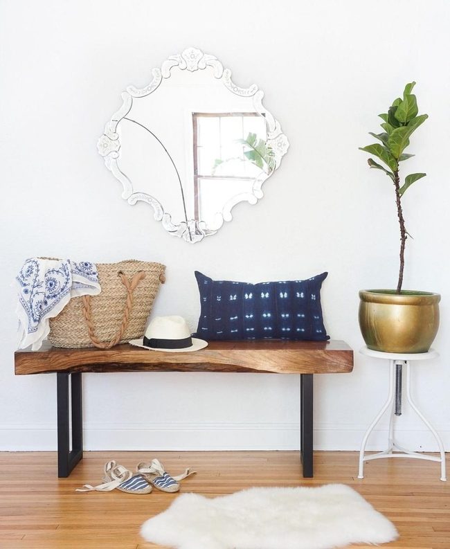White Walls Blue Accents Green Plant