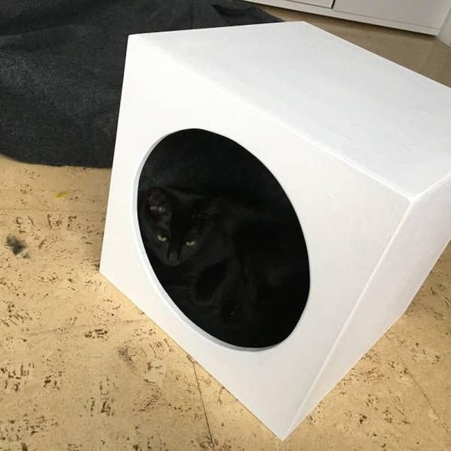 White Cube Cat Hideaway
